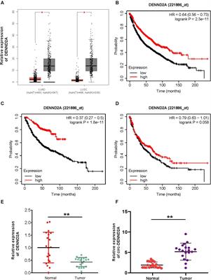 CircDENND2A Promotes Non-small Cell <mark class="highlighted">Lung Cancer Progression</mark> via Regulating MiR-34a/CCNE1 Signaling